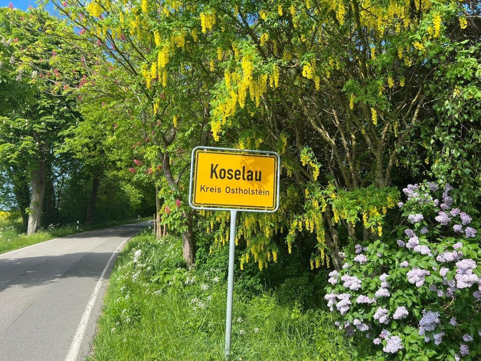 Gut Koselau Landhaus II Екстер'єр фото